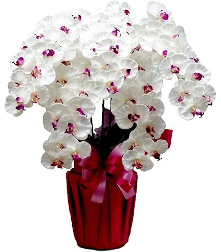 Amazon｜光の楽園 フェイクグリーン 造花 フレッシュ胡蝶蘭3本立